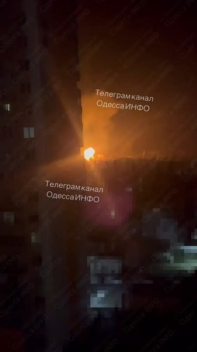 ���� ����� �� �� ��������� 442 ���� �� �������