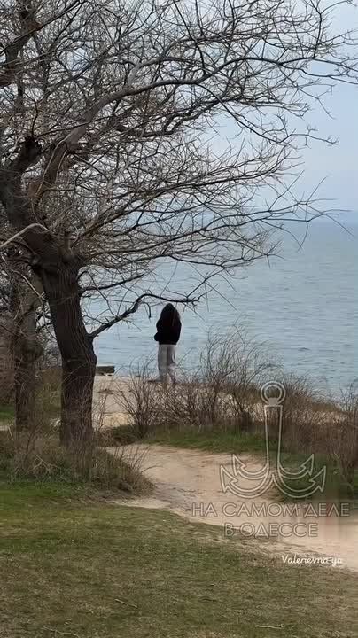 ���� ��, ������-���� ����������