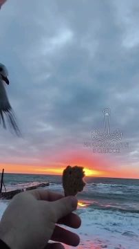 ���� ��, ������-���� ����������