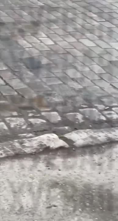 ������� �� ��� ����� ������� ������ ����������� � ������