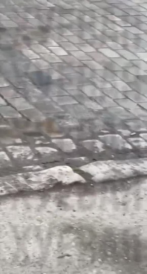 ������� �� ��� ����� ������� ������ ����������� � ������