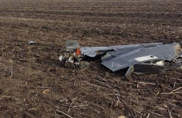 ������ ��������-������������� ����� ������� ������� ������� �����, � ��� ���������� � ��� �����