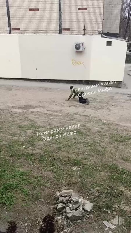 ����� ������ ���� �������� ������������ �����