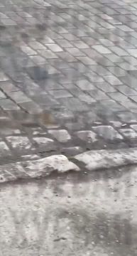 ������� �� ��� ����� ������� ������ ����������� � ������