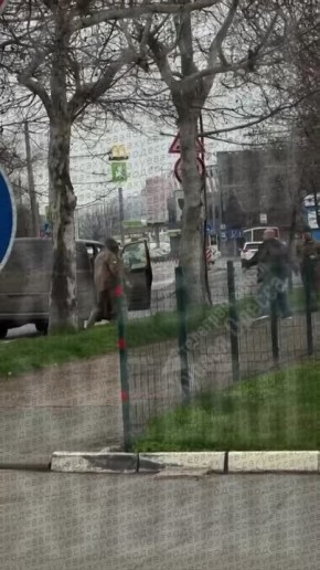 ��� ������: ������. ����� � ����� ������ ��������� ����� � �����