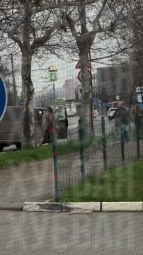 ��� ������: ������. ����� � ����� ������ ��������� ����� � �����