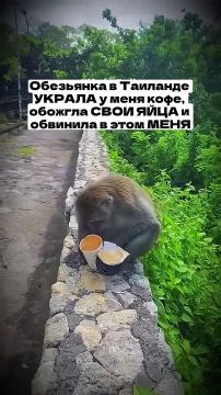 ������ ����, ������. ����� ���� ������� ����� � ��������� ����� ���������, ��� �� ������� ����������