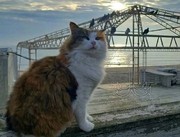 ������������ ������ 04 ������ 2026 ���� � ������ � ������� �����������: