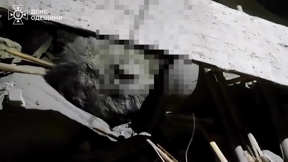 � ��������� ����� ���������� ����� ������ ����