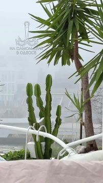 ���� ��, ������-���� ����������