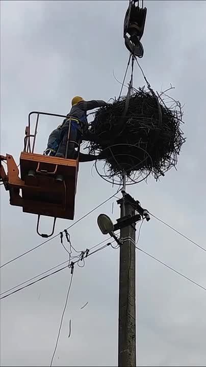 � �������� ������� ���������� ���������� ��������� ��� ����� ������