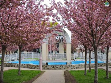 ����� � ������� �� ��������� ������������� �������� ������