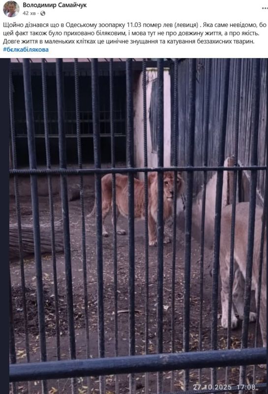 � �������� �������� ������ ������