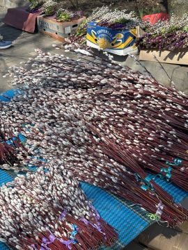 �������� ����� �������� ������� �����������