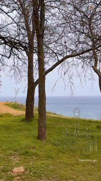 Таки да, Одесса-мама проснулась