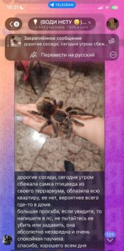 В Одессе из квартиры сбежала самка птицееда