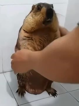 ���� ������ � ����� � �������� �������� ������ ��������� � �����