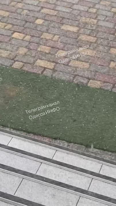 � ��� ������� ������������ ��������� ����� �� ������