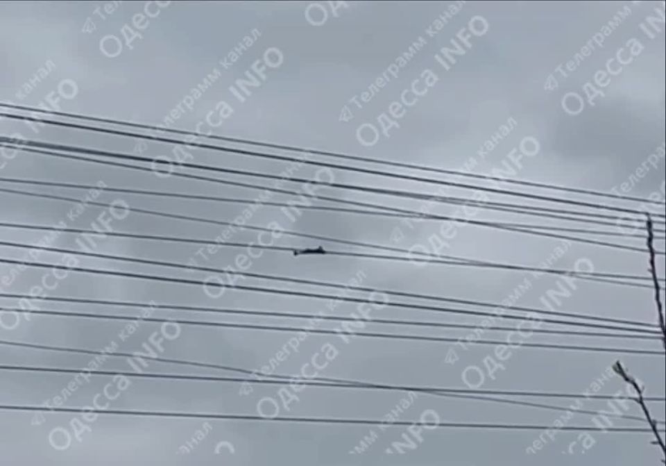 � ���� ��� �������� ������� ����� ������� �����������