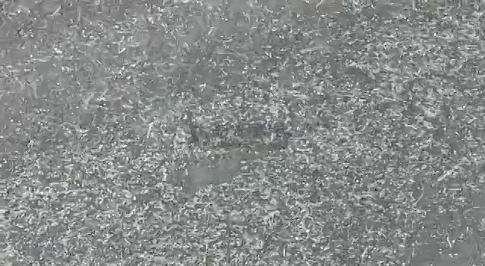 � ������ ���� ����. ��� ������������ ������ �����������, � ������� �� ������ �����