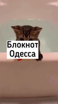 Устали от скучных лент? У ребят каждый день — готовый анекдот