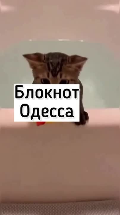 ������ �� ������� ����? � ����� ������ ���� � ������� �������