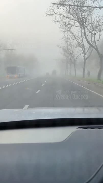 ����� � �������� ������� ���������� ���������