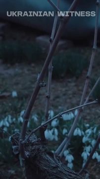 ������ ������� ���������� ����� ������� � ����������� � ����� ������ �� ������