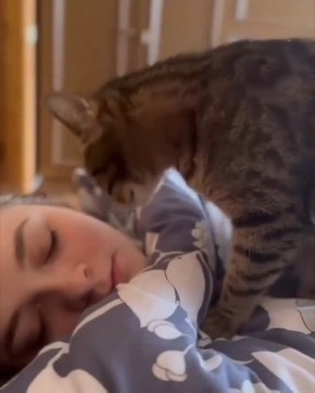 ������ ��������� - ���� ���, ������� ������ ��� ����!