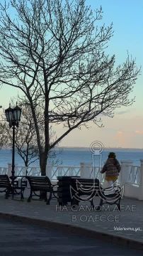 Одесса-мама, мирных снов. — Фаечка, ты когда-нибудь слышала за слово «деликатность»?