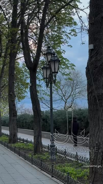 Таки да, Одесса-мама проснулась