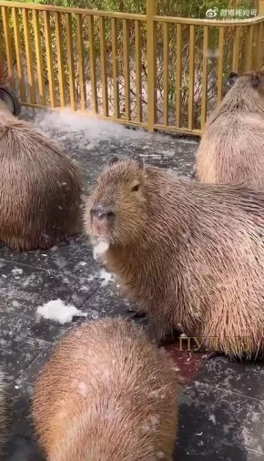 ��������� ���� ���������!. �������������� �������� � �������� ������ ������������ �������� ���������� � ��������� �����