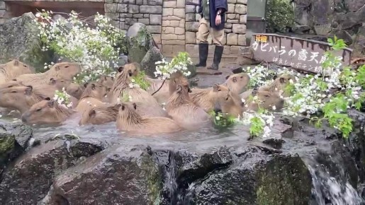 ���� �� ��� � ���� �����������, �������� ������ ����� ������ �����