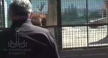 ����� �������, ����������� �������� ��������� ��������, ���� � ���������