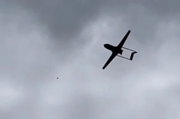 ����� ��������, ������ ��� ������� ������� ����, ������ � ���������