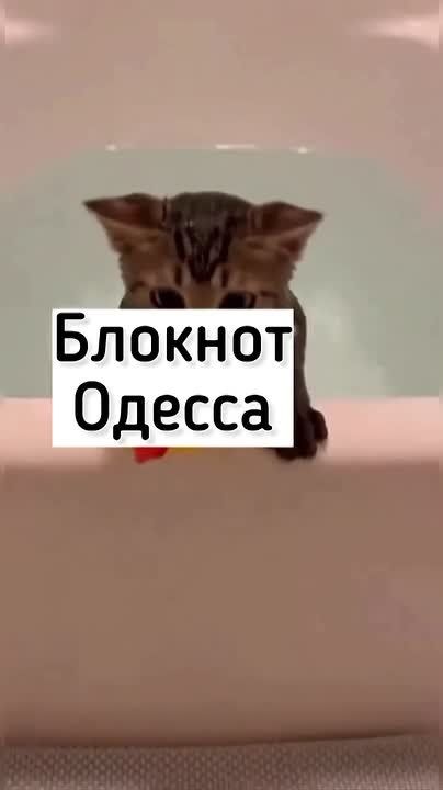 ������ �� ������� ����? � ��� ������ ���� � ������� �������