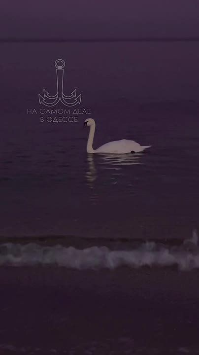 ������-����, ������ ����. � ������� ���������, �������� ���� �������!