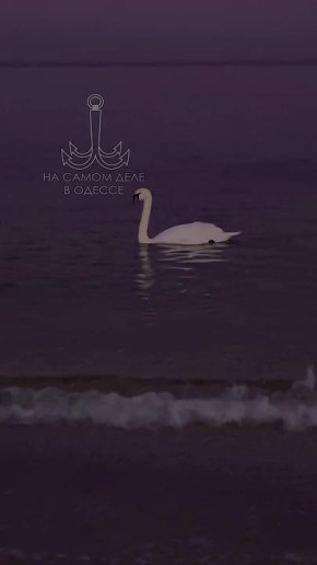 ������-����, ������ ����. � ������� ���������, �������� ���� �������!