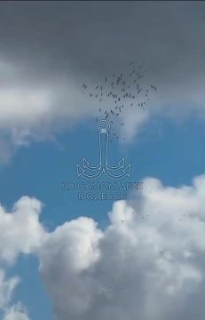 Таки да, Одесса-мама проснулась