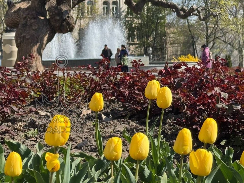 � ������ ����� ��� �� ��� ������� ������!