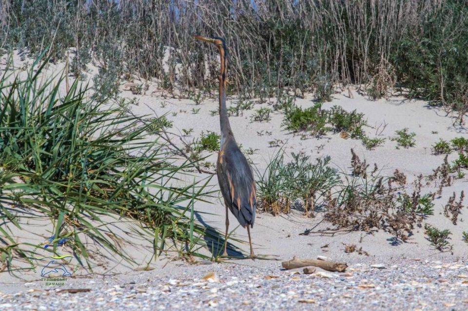 � ����������� �������� �������� ����������� ������ �����