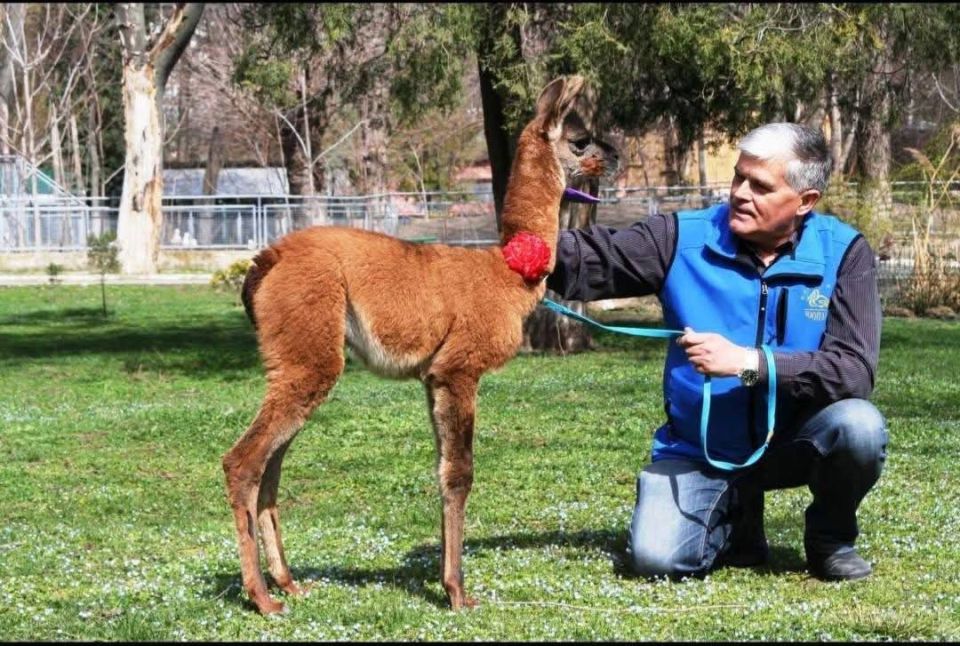 ����� �������, ������ �������� ��������� ��������, ������ ���������� � ������ ���������� � ���������, ��� ��� ��������