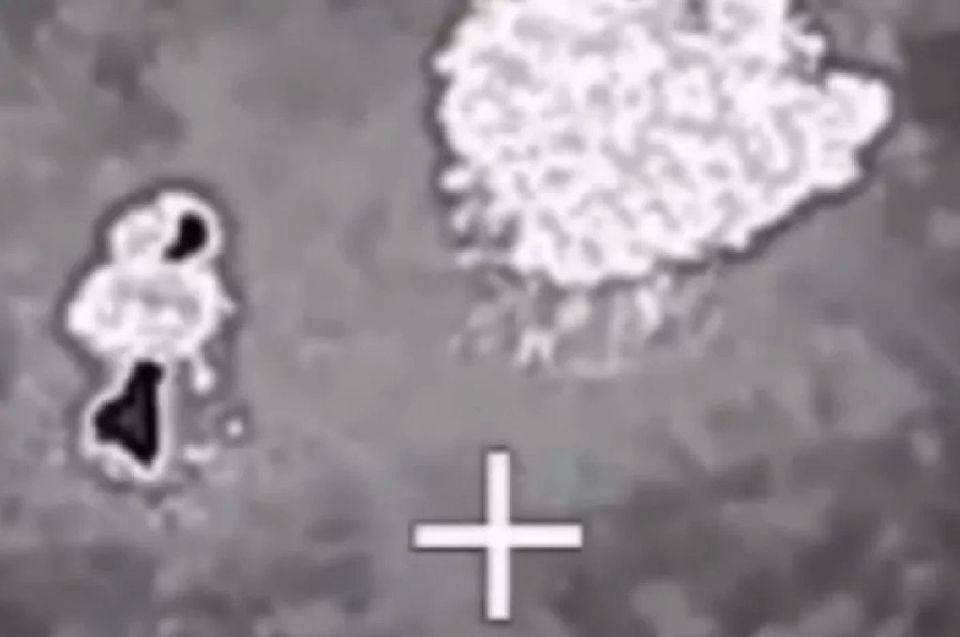 ���������� �������: � ������ ������� �� ����� ������� ������ ��� ����� ��