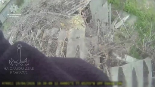 � ������ ���������� ������� ����� �� �����: ����� ��������� � ������� ��������� ��������