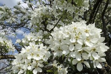 � ���� �������� ����������� ������ ������� 400-������ �����-��������