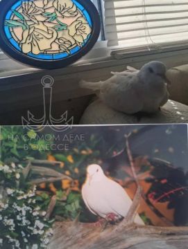 �������� �������� ������� ��������� � ��� �� ��� � ��� �� 45-� (!) ���� ����� ���� ���������� ����� ��������, ��������� � ���� ������ �� ������ �����