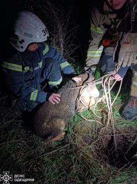 � �������� ������� ������ ������