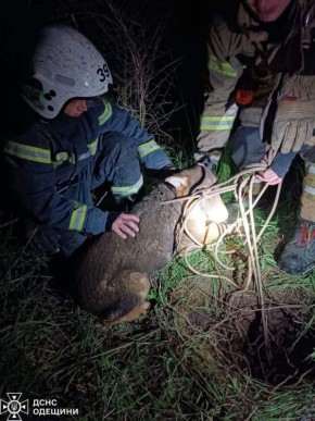 � �������� ������� ������ ������