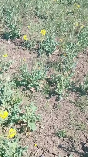 ���� �� ����. � �������� ������� ������� ������ � ������� ����� ������� �� � ����