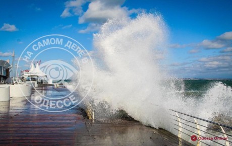 ������������ ������ 26 ������ 2026 ���� � ������ � ������� �����������: